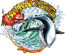 SURF SEIGNOSSE PARADISE